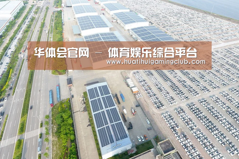 案例展示一