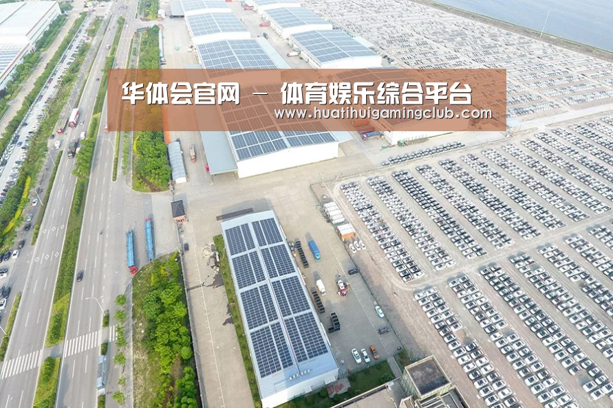 案例展示三