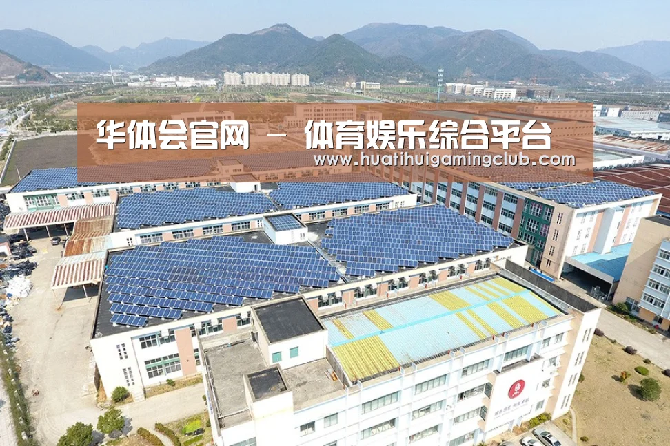 案例展示三