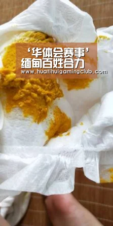 ‘华体会赛事’缅甸百姓合力抓捕走私非法木材车辆(图2) 华体会下载