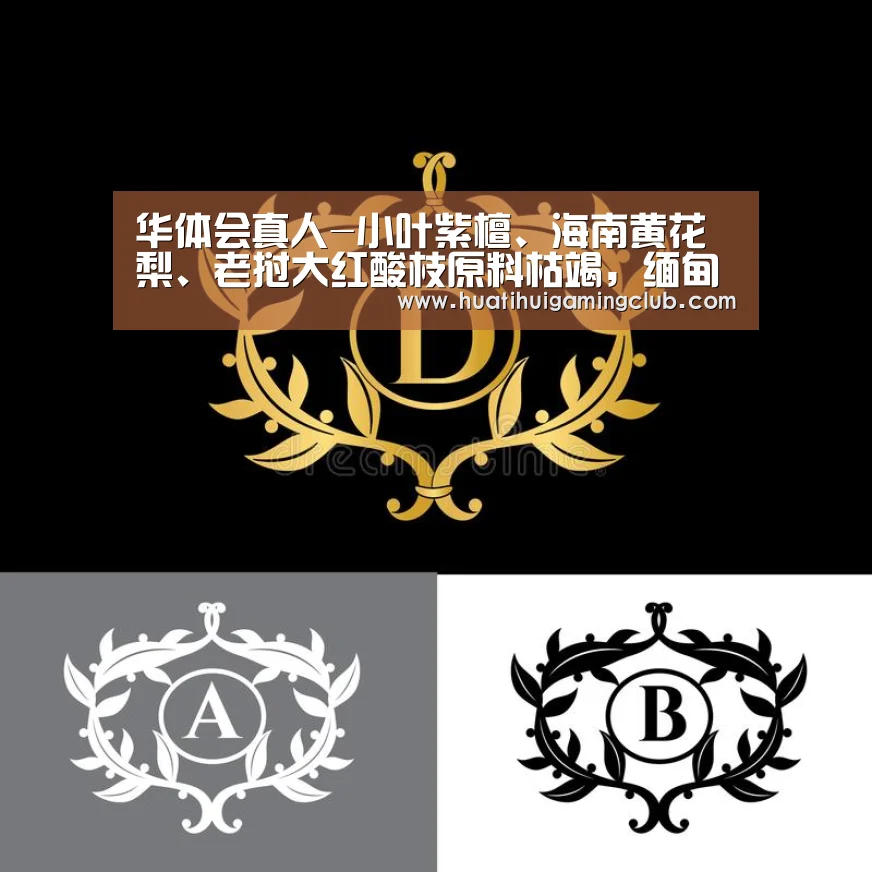 华体会下载