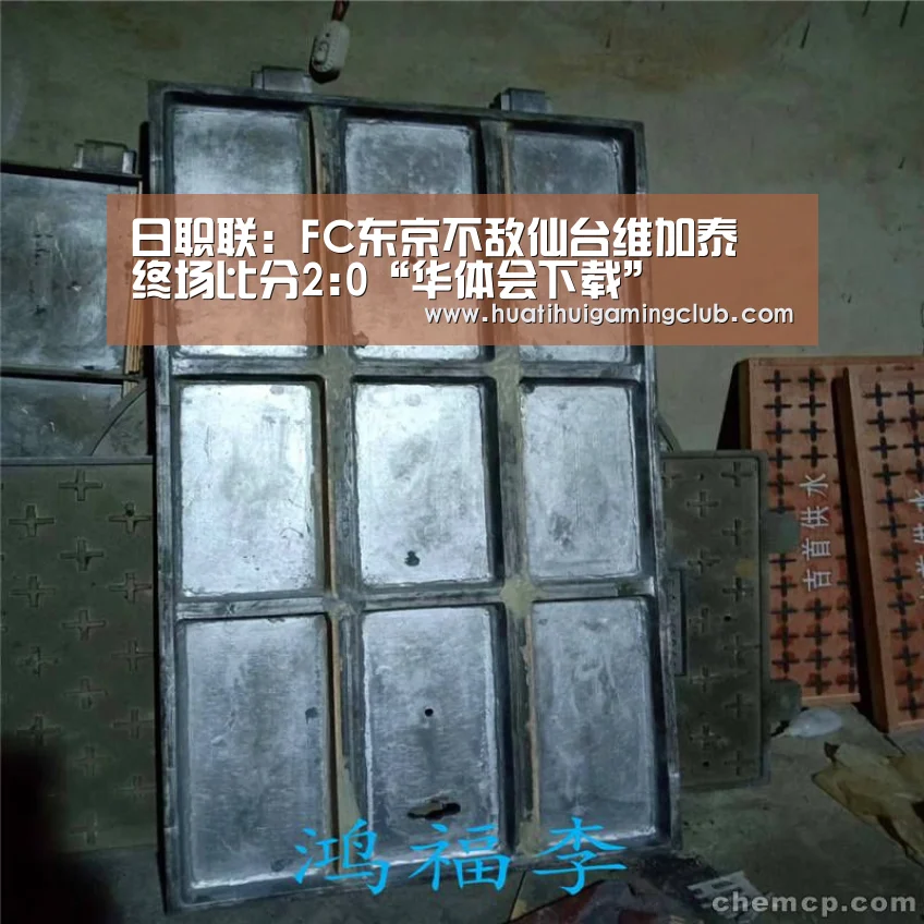 日职联: FC东京不敌仙台维加泰 终场比分2:0“华体会下载”(图1) 华体会真人